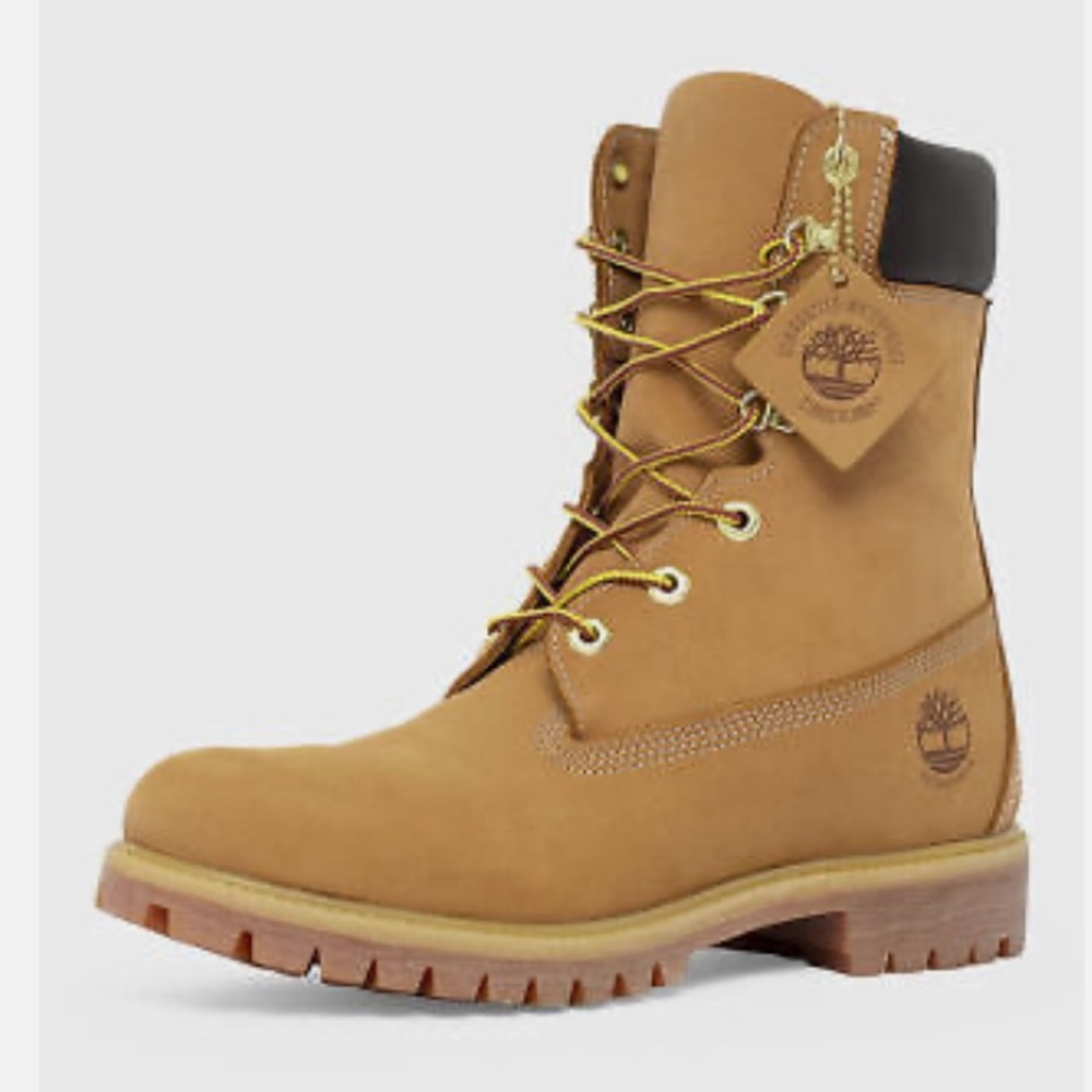 Tall timberland